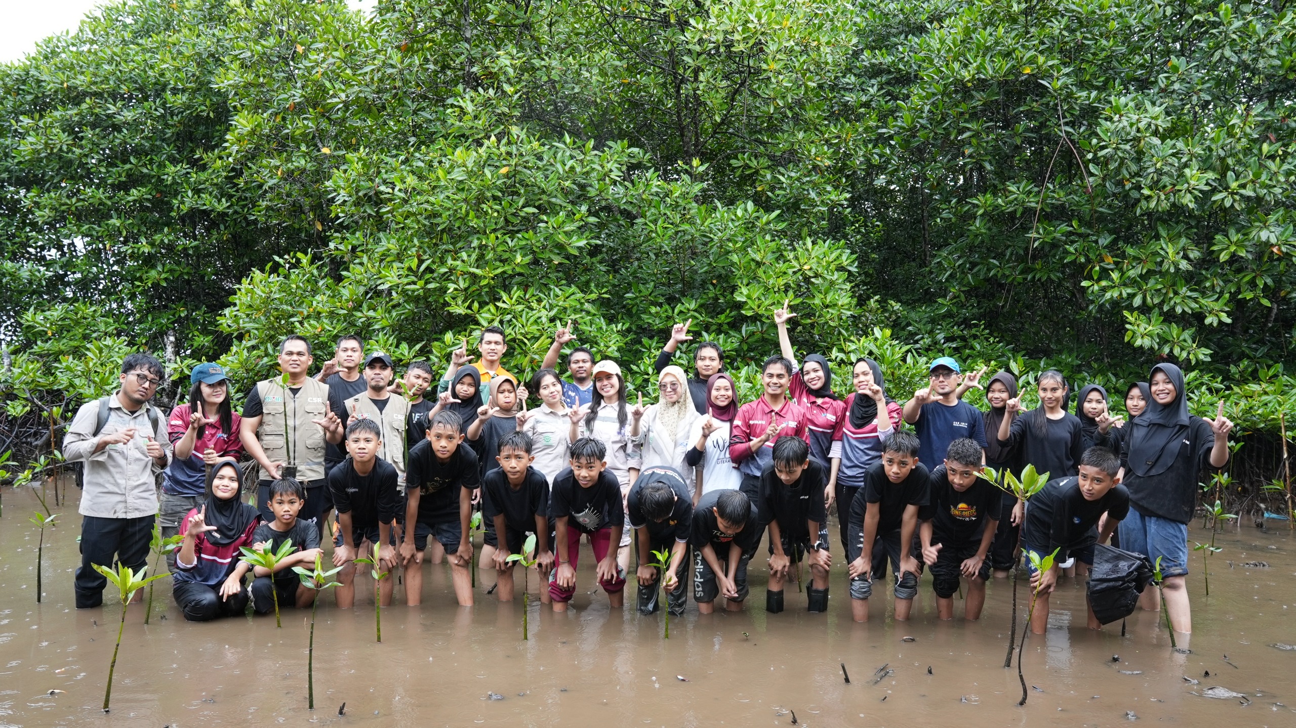 Hari Mangrove Sedunia, IMIP Dukung Penanaman 1 Juta Mangrove di 37 Provinsi